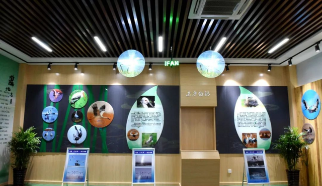 展館設(shè)計(jì) ， 展館 ， 鑫時(shí)空