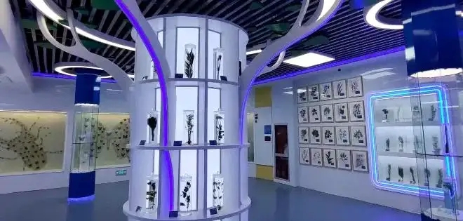 展會設計 , 展會 , 鑫時空