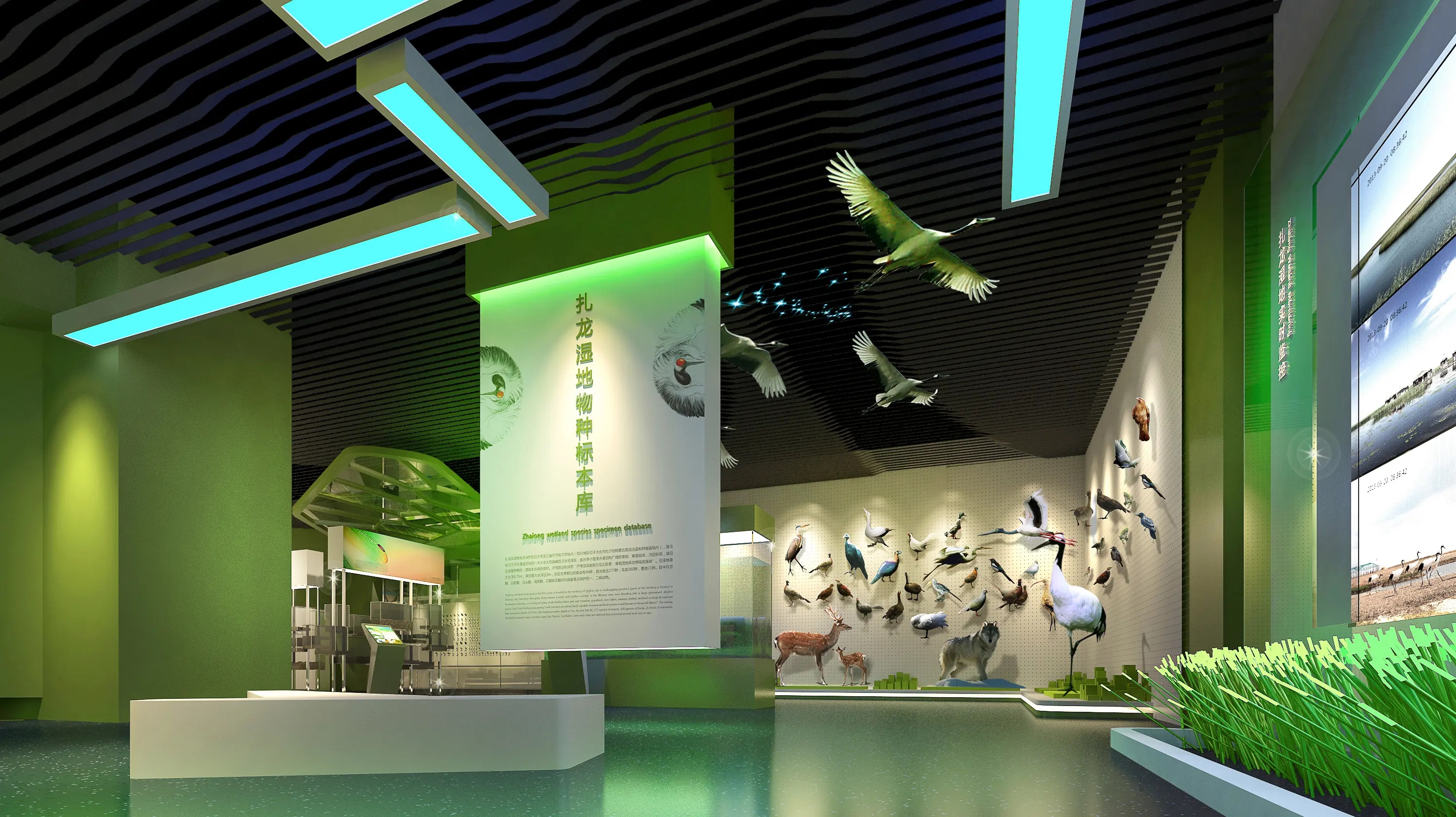 展館設(shè)計(jì) ，展館 ，鑫時(shí)空